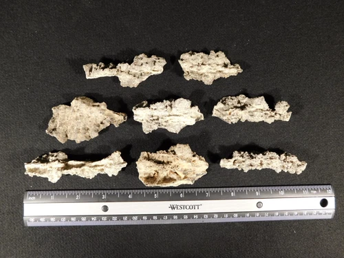 BIG Lot of EIGHT! Big! 100% Natural FULGURITE s or Petrified Lighting 75.6gr