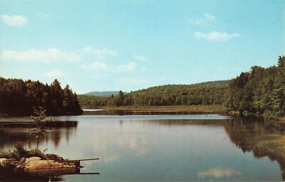 Panoramic View of Beautiful Tranquil Lake Surrounded by Thick Forest - Postcard