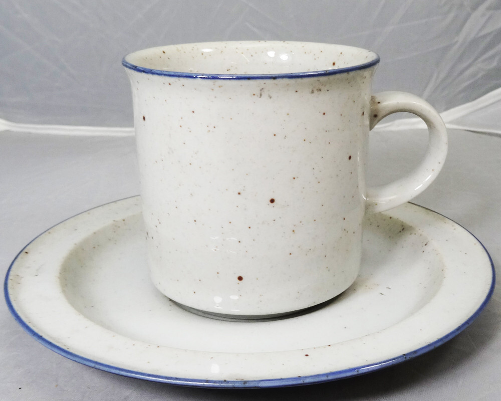 BLUE RIDGE 9319 by Mikasa Tea Cup & Saucer NEW NEVER USED made in 