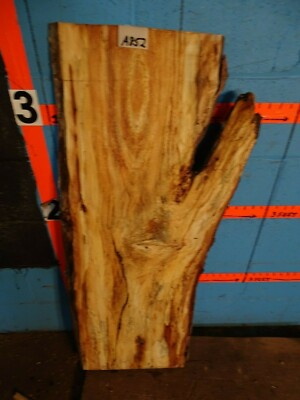#A852    1 9/16'' THICK spalted beech live edge slab  table top end table 
