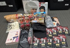 Bulk Reseller Lot 25pc Mixed Items Costume Wigs Bras Pet Accessories Wholesale