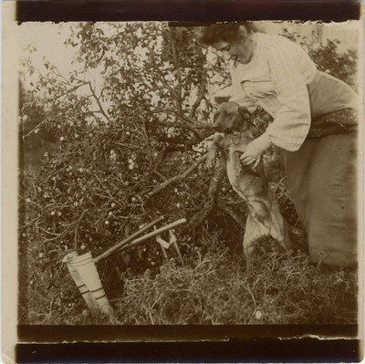 OLD PHOTO - VINTAGE SNAPSHOT - DOG MAKES BEAUTIFUL STANDING FUNNY FALL - DOG
