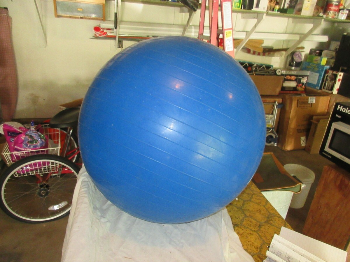 Blue Huge Exercise Ball Inflatable Ball Yoga Ball Big W Circuit Gym Exercise Ball 65cm Blue BIG W