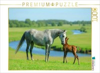 Puzzle Calvendo Jument Arabe Avec Son Poulain Au Bord De La RivièRe | 1000 PièCe