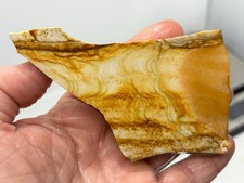 Disaster Peak Picture Jasper Slab Cabbing Lapidary Collecting Combo Ship Avail