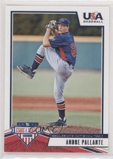2019 Panini USA Baseball Stars & Stripes Andre Pallante #8 03hc