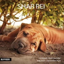2025-2026 Wall Calendar,Shar Pei Wall Calendar, 12" x 24" Open,Family Planner Ca