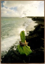 Offering To Pele The Volcano Goddess Vintage Postcard Spc18