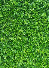 Green Leaves Party Photo Backdrops Polyester Background Photo Studio Booth Props