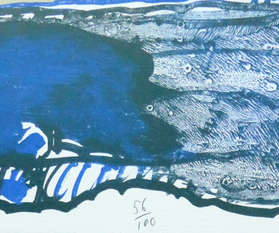 Pierre Alechinsky "Objetos voladores mundanos" 1977 Litografía numerada firmada a mano Foto 4 de 4