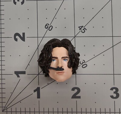 McFarlane Dune Paul Atreides Male Head Timothee 7'' DC Custom Fodder Parts