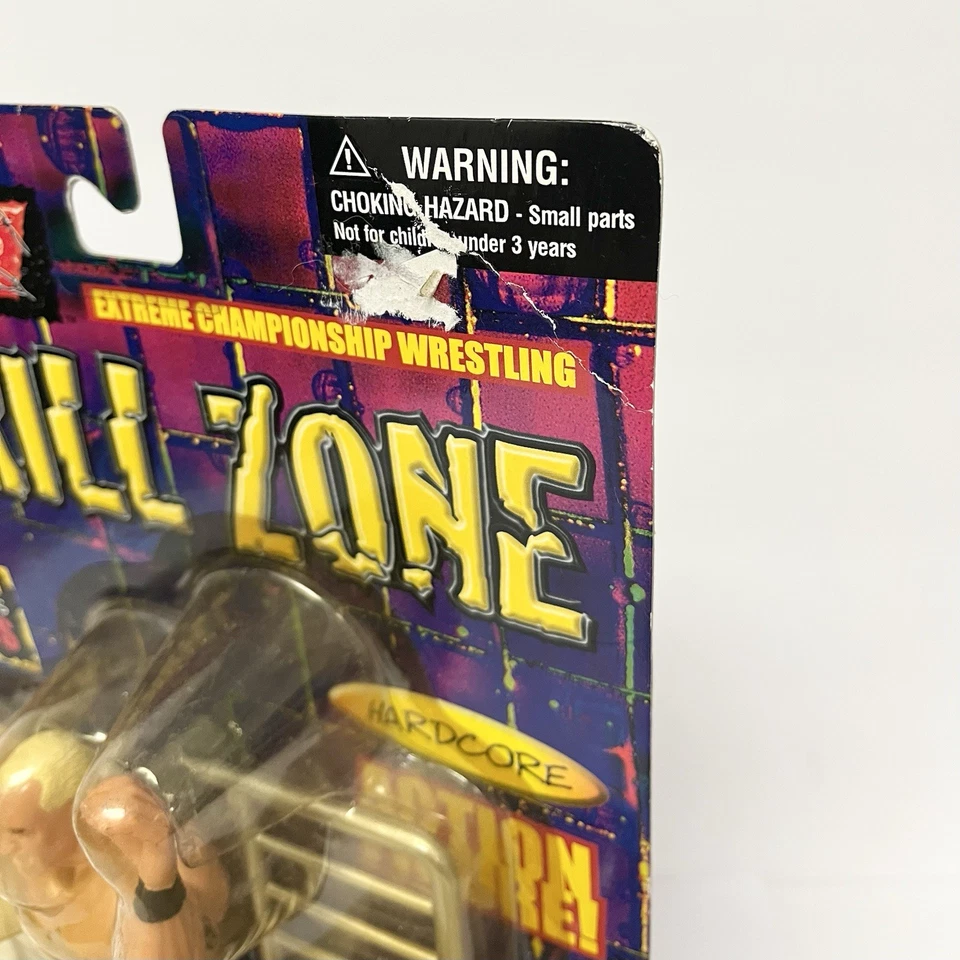 ECW 复古 OSFTM 2000 Thrill Zone Chris Candido 可动人偶全新未拆封 — 第 4/4 张图片