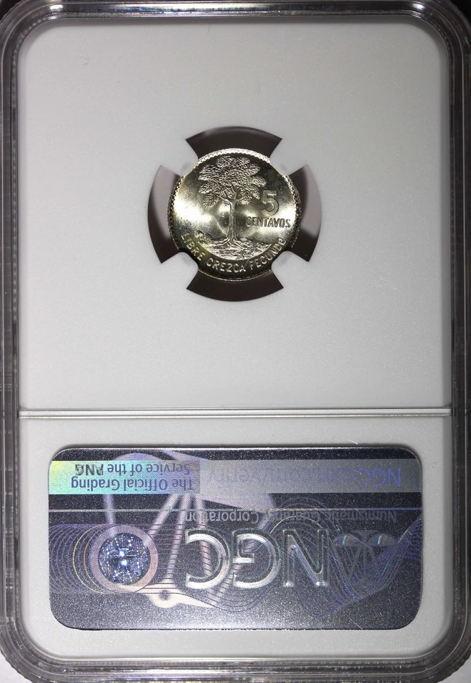 GUATEMALA Silver 1964 5 Centavos NGC MS67 GEM BU MINT LUSTER KM# 261 (034) - Image 3 of 4