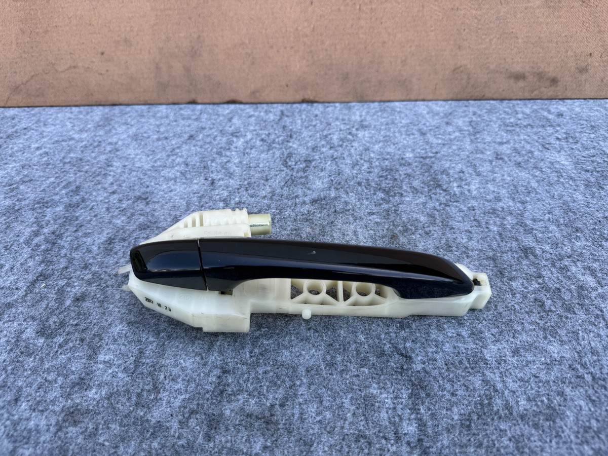 KIA STINGER 2018-2023 OEM REAR RIGHT PASSENGER EXTERIOR DOOR