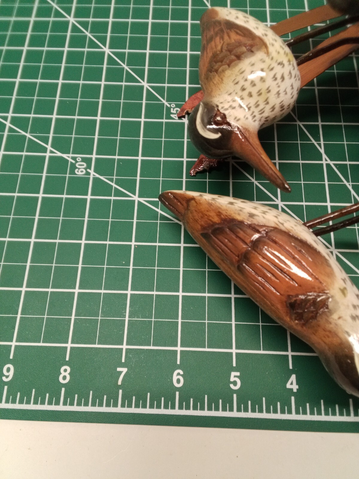 Picture 13 of 13