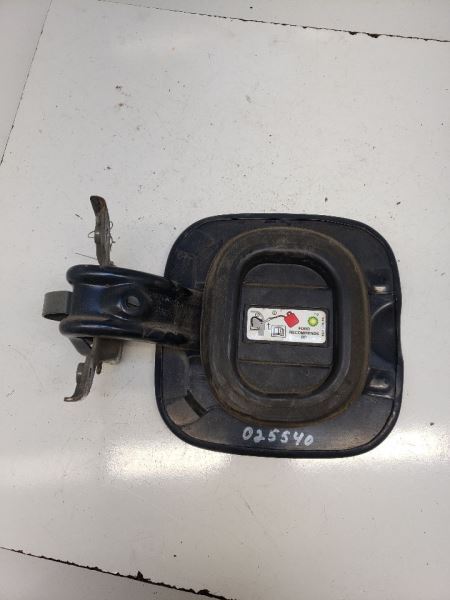 FLEX      2009 Fuel Filler Door 979032