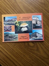 CARTOLINA MOSTRA DEL FUNGO CEVA DUOMO FIUME TAVARO CASERMA NON VIAGGIATA 11