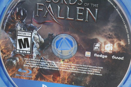 Lords of the Fallen (Edición Limitada) Sony Playstation 4 PS4 Juego Usado - Imagen 4 de 4