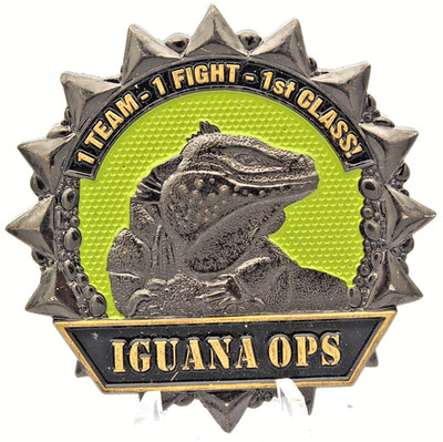 1 Team-1 Fight / Counter Narcotics Ops 429 EOS Challenge Coin