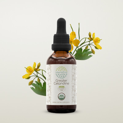 HerbEra Greater Celandine Alcohol-FREE Tincture (Chelidonium Majus)