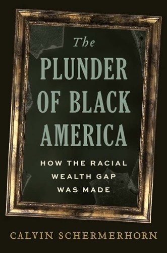 The Plunder of Black America: How by Calvin Schermerhorn | PB | 2026 - Image 2