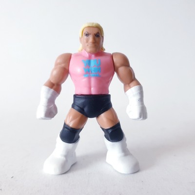 Mattel WWE Mighty Minis Wrestling Sammelfigur Dolph Ziggler