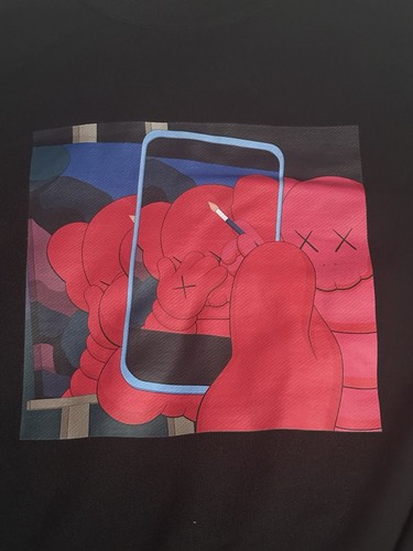 Uniqlo Andy Warhol Kaws Collab Sweatshirt Size M