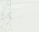 The Twelve Kingdoms Juuni Kokki Genga Douga Original Sketches Pierrot - Youko — photo 9