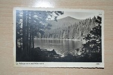 AK Postkarte Gr. Arbersee 934 m mit Arber 1457 m Echtes Foto 49-1250