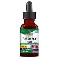 Nature's Answer, Echinacea Root (Coneflower), Alcohol-Free, 1000mg