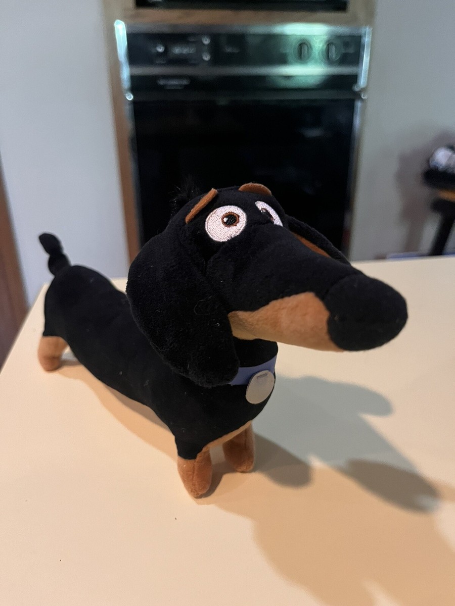 2016 TY PETS DOG BLACK DACHSHUND NAMED 