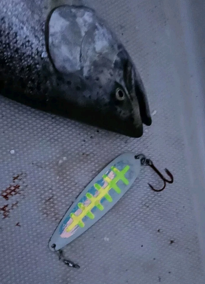 Lote de 4 piezas - Cucharas de arrastre de salmón súper brillantes UV Fisher Tackle como brillo de luna Foto 4 de 4
