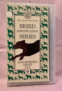 akc non sporting group