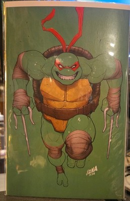   TMNT #1-4   DAVID NAKAYAMA DNA VIRGIN VARIANT SET Ninja Turtles 2024 IDW NM