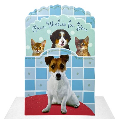 Cute GET WELL Card FROM US, Dog Puppy Kitten Pets by American Greetings + 