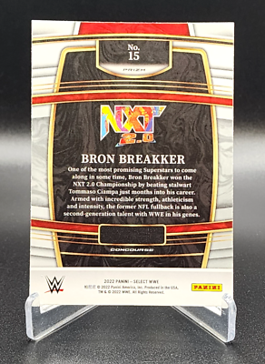 2022 PANINI SELECT WWE Zebra Prizm - CASE HIT CARD - BRON BREAKKER