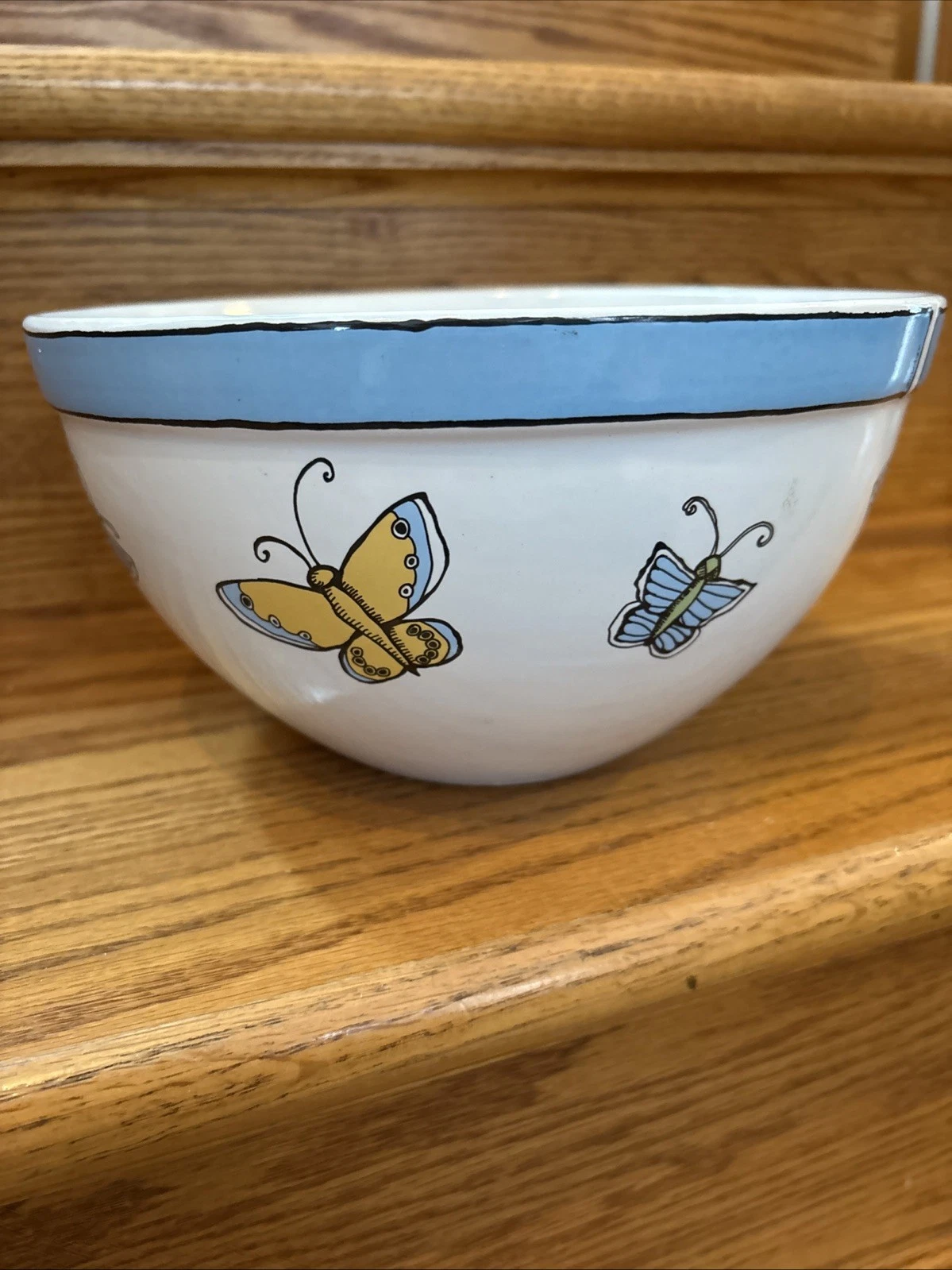 SIGNATURE BUGZ 2 QUART MIXING KITCHEN BOWL MULTICOLORED BUTTERFLIES INSIDE & OUT