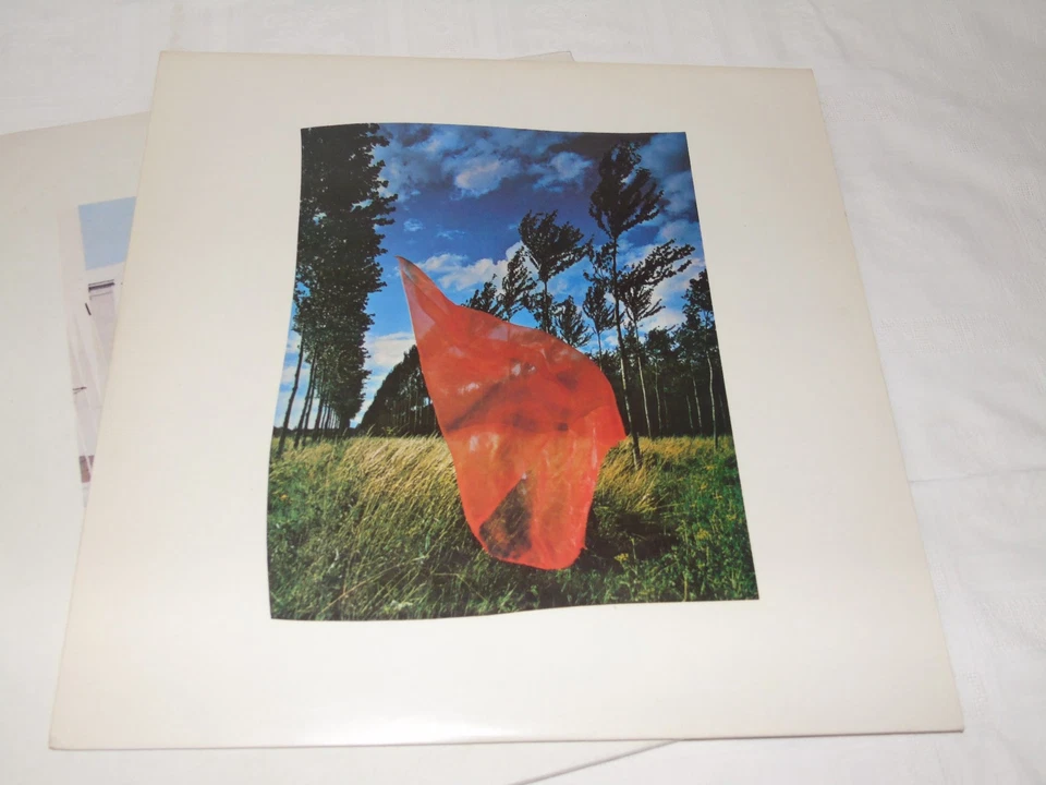 Pink Floyd Wish You Were Here · Lp · 1975, foto 4 di 5