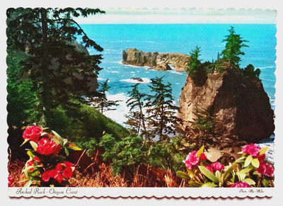 Postcard Oregon Coast Arched Rock & Shore Flowers in Foreground