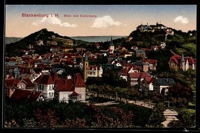 Blankenburg i. H., view from Eichenberg, postcard 