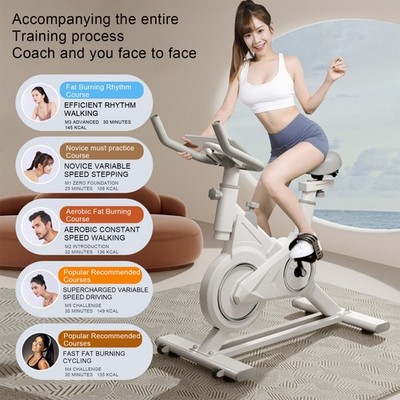 Aufrechtes Fitnessrad für Home Gym Workout mit Bremsschwungrad, Telefonhalterung