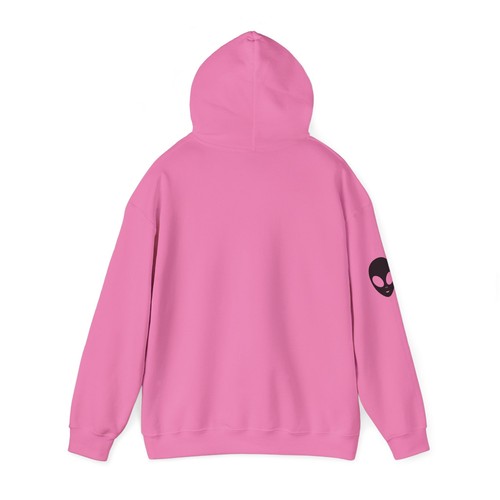Unisex Heavy Blend™ Hooded Sweatshirt - Picture 48 of 57