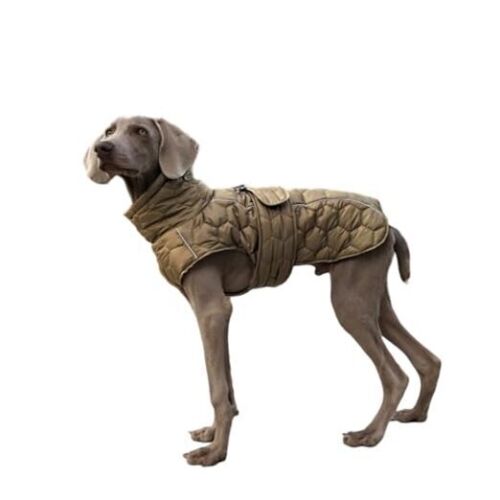 Dog Cold Weather Coat Vest Warm Fleece Jacket Puffer Dog Clothes X-Large Green