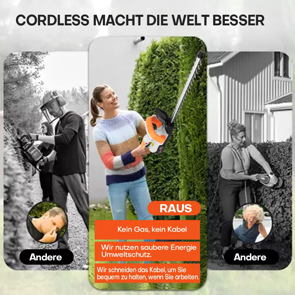 Bild 6 von 14
