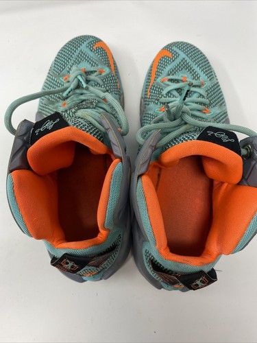 NIKE LEBRON XII SIZE 10.5 NSRL SOUTH BEACH 684593-301 Miami Dolphins LA LAKERS - 第 8/8 張圖片