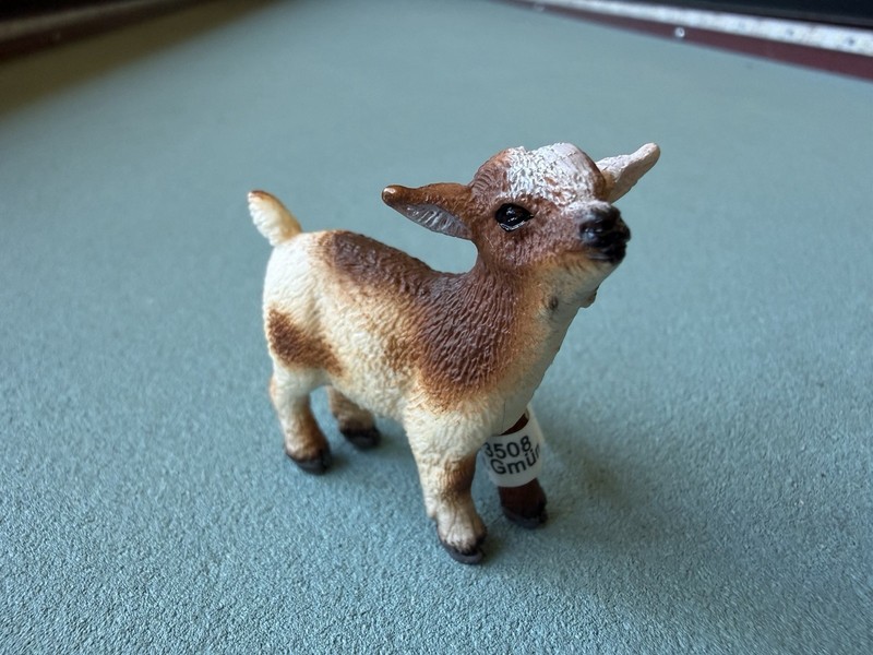 Schleich 13716 Dwarf Goat Kid Figure Baby Farm Pet Animal Retired Toy W/ Tag
