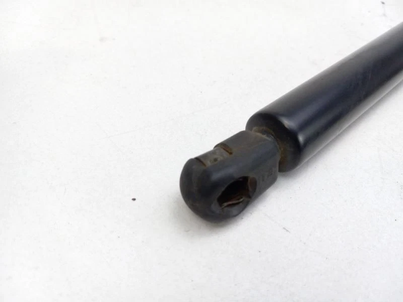 Puntales de puerta trasera Ford Expedition 2003-2006 Foto 3 de 4