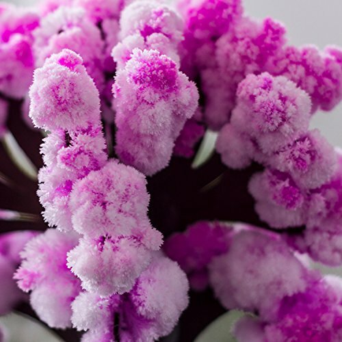 Большие пальцы Вверх По Волшебной Сакуре 4290₽