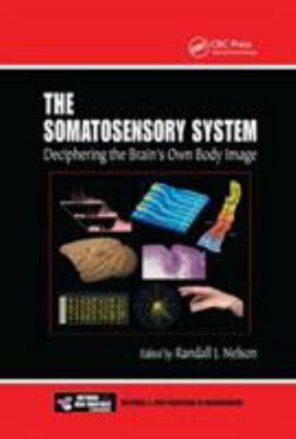Somatosensory System : Deciphering the Brain's Own Body Image, Paperback by N...