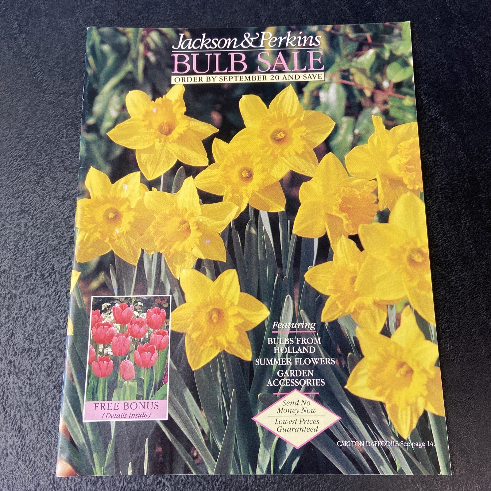 Jackson & Perkins Bulb CATALOG 1992 Tulip Of The Year eBay